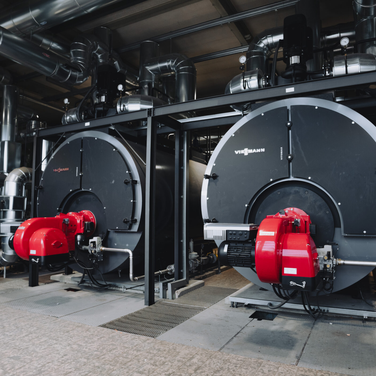 Braun – Eine weitere WordPress-Website